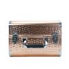Rose Gold Cosmetic/Vanity Case